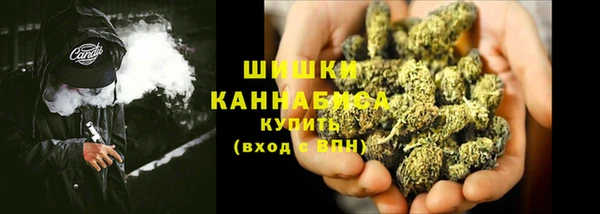 ECSTASY Богородицк